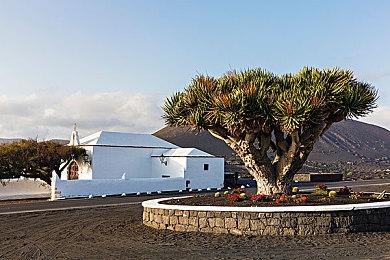 《忍者神龟：斯普林特的命运》Steam页面上线 年内发售